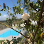 Demira - Chic Panoramic - Private Pool *