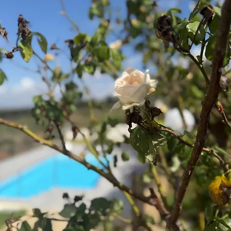 Demira - Chic Panoramic - Private Pool *